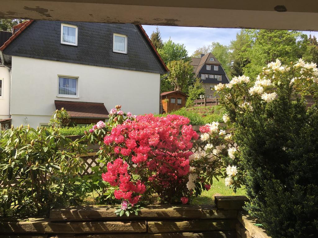 4 Moderne Fewo Nowak-Bals Zur Auswahl Braunlage Buitenkant foto