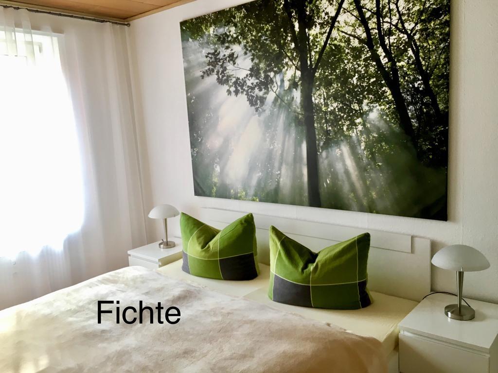 4 Moderne Fewo Nowak-Bals Zur Auswahl Braunlage Buitenkant foto