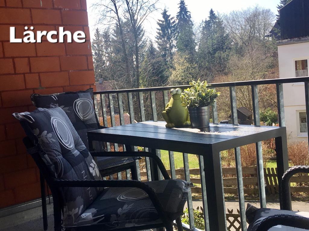 4 Moderne Fewo Nowak-Bals Zur Auswahl Braunlage Buitenkant foto