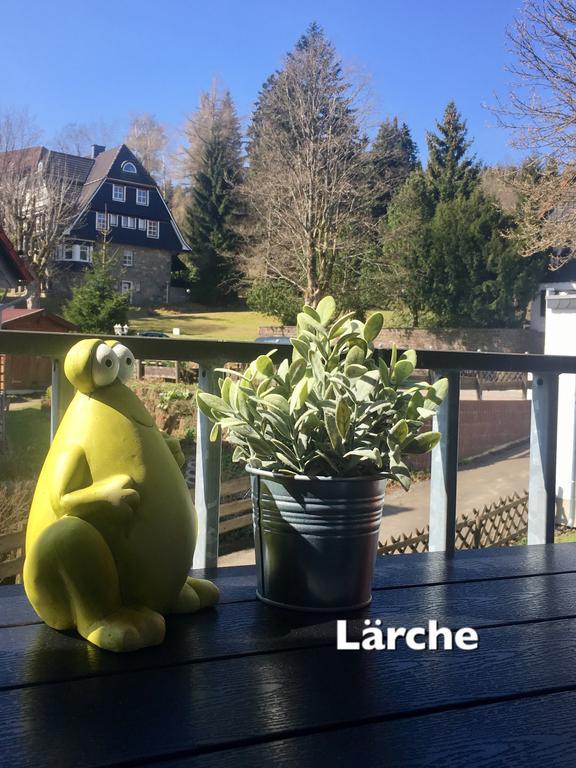 4 Moderne Fewo Nowak-Bals Zur Auswahl Braunlage Buitenkant foto